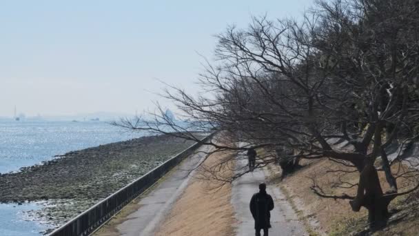 東京荒川河口新木場2022年2月 — ストック動画