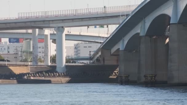 Tokyo Arakawa River Mouth Shinkiba 2022 Februari — Stockvideo