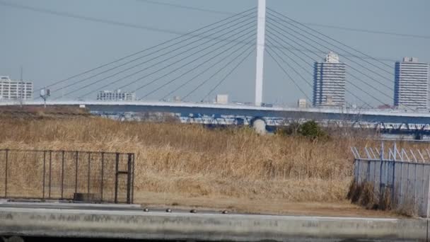 2月2022年2日 东京阿拉川河口Shinkiba — 图库视频影像
