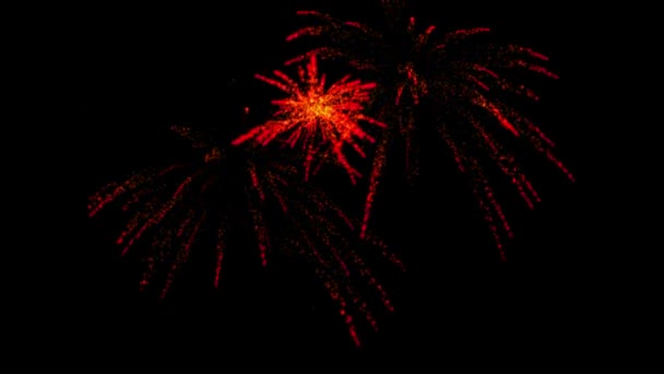 Fuochi Artificio Scintillio Particelle Animazione Grafica Movimento — Video Stock