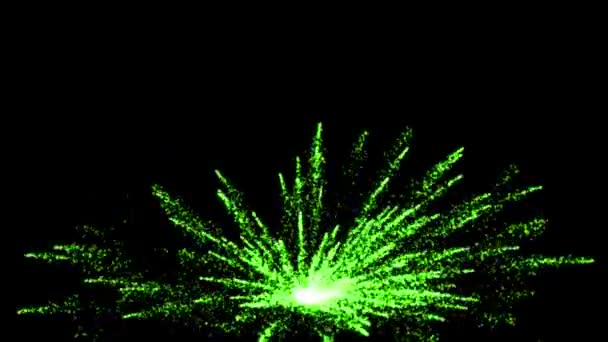 Fireworks Glitter Particles Animation Motion Graphics — Stock Video