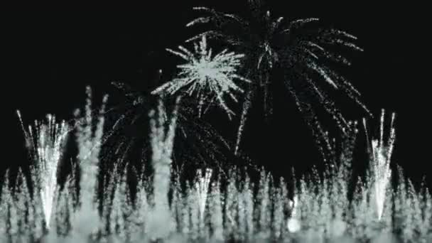 Feuerwerk Glitzert Partikel Animation Bewegungsgrafik — Stockvideo