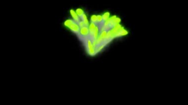 Duman arkaplan oluşturma renk parçacığı canlandırma grafikleri