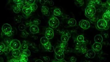 Halka şekli Parçacık Canlandırma Hareketi Grafikleri