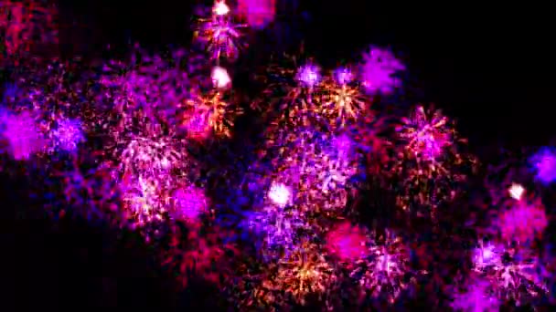 Fuochi Artificio Scintillio Particelle Animazione Grafica Movimento — Video Stock