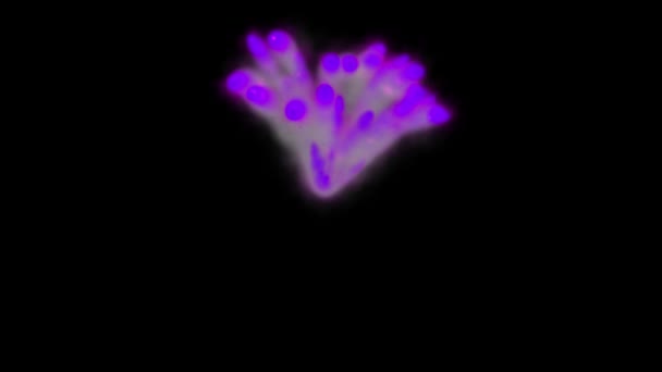 Fum Suflare Particule Culoare Animație Grafică Mișcare — Videoclip de stoc
