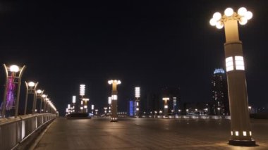 Tokyo Odaiba Gece Manzarası 2022