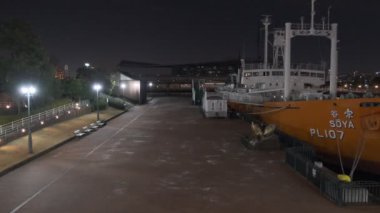Tokyo Odaiba Gece Manzarası 2022