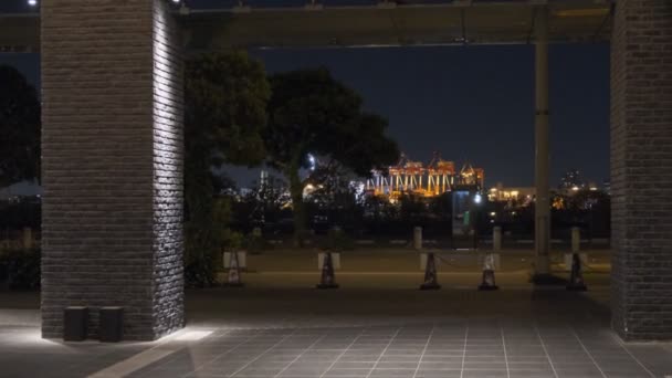 Tóquio Odaiba Night View 2022 — Vídeo de Stock