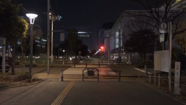 Tokyo Odaiba Nachtzicht 2022 — Stockvideo