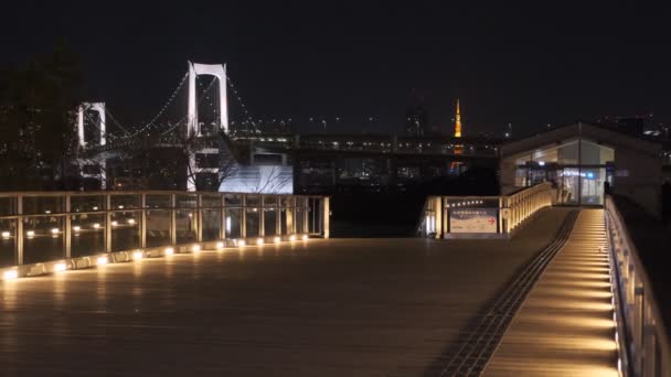 Tokio Odaiba Vista Nocturna 2022 — Vídeo de stock