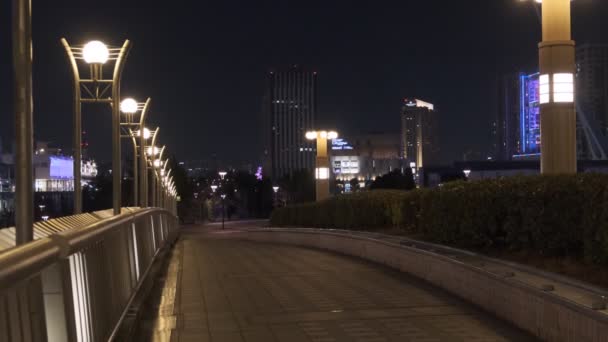 Tokyo Odaiba Night View 2022 — Stock Video