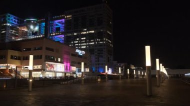 Tokyo Odaiba Gece Manzarası 2022