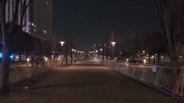 Tokyo Odaiba Gece Manzarası 2022