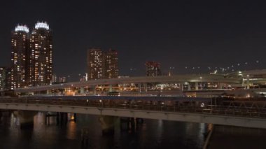 Tokyo Odaiba Gece Manzarası 2022