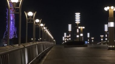 Tokyo Odaiba Gece Manzarası 2022
