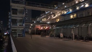 Tokyo Odaiba Gece Manzarası 2022