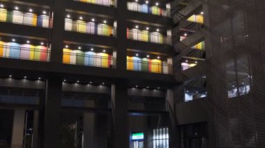 Tokyo Odaiba Gece Manzarası 2022