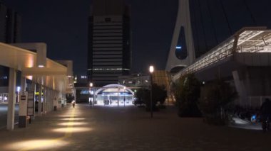 Tokyo Odaiba Gece Manzarası 2022