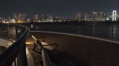 Tokyo Odaiba Gece Manzarası 2022