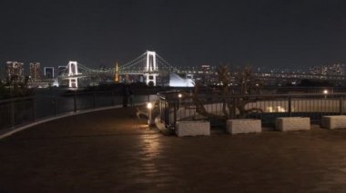 Tokyo Odaiba Gece Manzarası 2022
