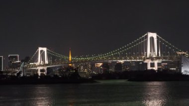 Tokyo Odaiba Gece Manzarası 2022