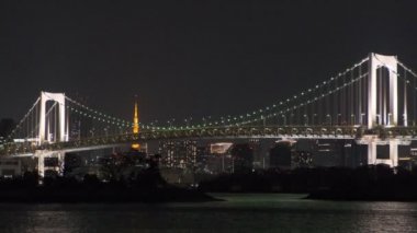 Tokyo Odaiba Gece Manzarası 2022