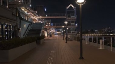 Tokyo Odaiba Gece Manzarası 2022