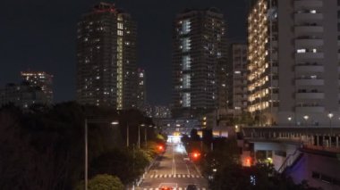 Tokyo Odaiba Gece Manzarası 2022