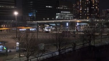 Tokyo Odaiba Gece Manzarası 2022