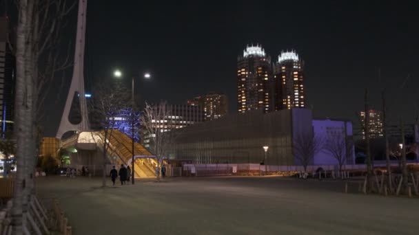 Tokyo Odaiba Night View 2022 — Αρχείο Βίντεο