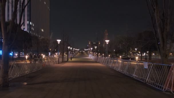Tokyo Odaiba Night View 2022 — стокове відео