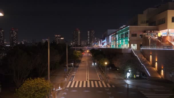 Tokio Odaiba Nachtsicht 2022 — Stockvideo