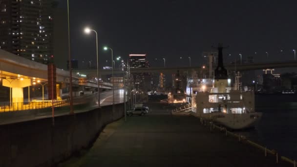 Tokio Odaiba Vista Nocturna 2022 — Vídeos de Stock