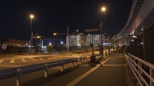 Tokyo Odaiba Night View 2022 — стокове відео