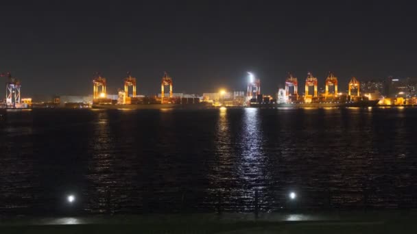 Tokyo Odaiba Gece Manzarası 2022 — Stok video