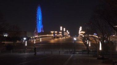 Tokyo Odaiba Gece Manzarası 2022