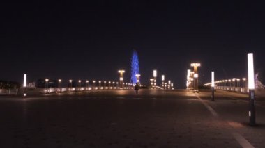 Tokyo Odaiba Gece Manzarası 2022