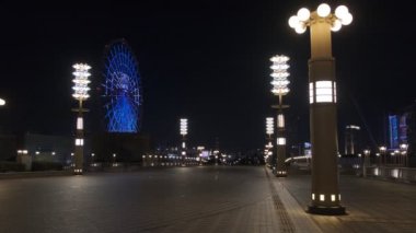 Tokyo Odaiba Gece Manzarası 2022