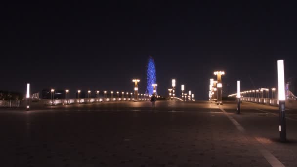 Tokyo Odaiba Night View 2022 — Αρχείο Βίντεο