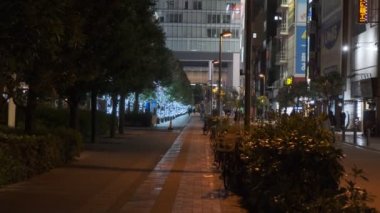 Tokyo Akihabara Gece Manzarası 2022 Mart