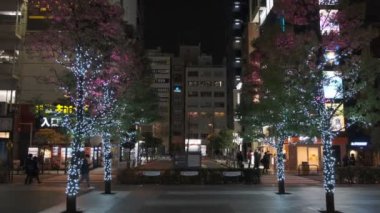 Tokyo Akihabara Gece Manzarası 2022 Mart