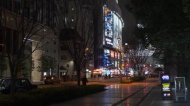 Tokyo Akihabara Gece Manzarası 2022 Mart