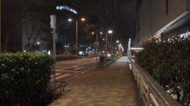 Tokyo Shinjuku Gece Manzarası 2022 Mart