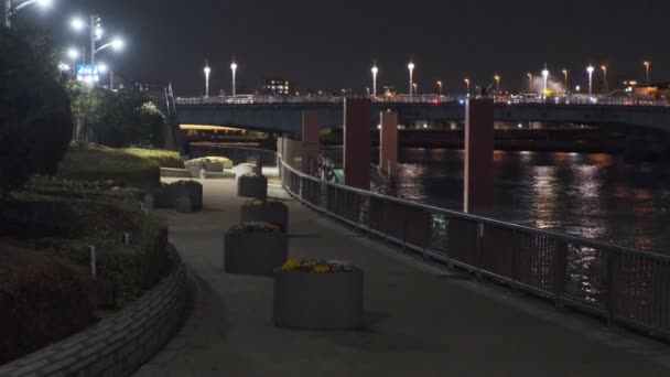 Tokyo Asakusa Sumida River Night View 2022 — Stock video