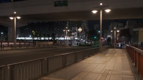 Tóquio Rio Asakusa Sumida Vista Noturna 2022 — Vídeo de Stock