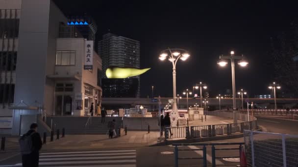 Tokyo Asakusa Sumida River Night View 2022 — Stock video