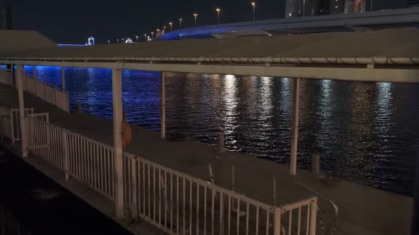 Tokyo Asakusa Sumida Nehri Gece Manzarası 2022 — Stok video