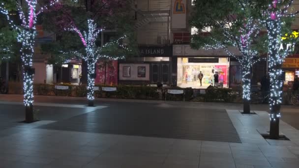 Tokyo Akihabara Night View 2022 March — Stock Video