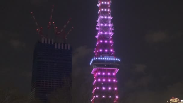 Tokyo Tower Japan Nattutsikt 2022 Mars — Stockvideo